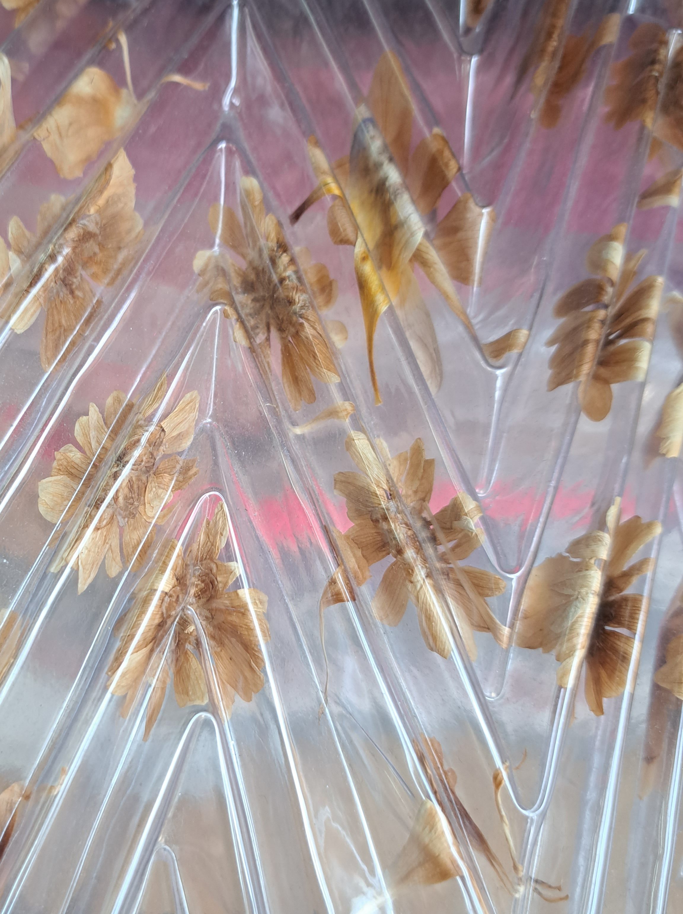 Flowers between pleated transparent film. 