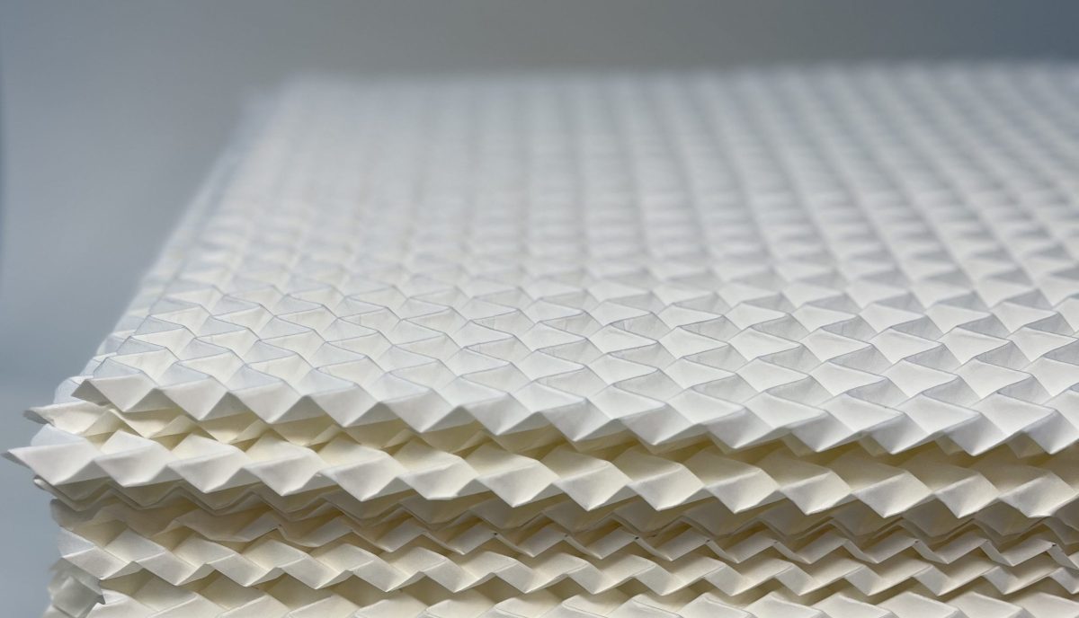 FOLD2 public webinar in March 2025