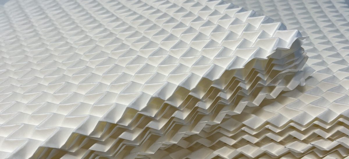 FOLD2 public webinar on March